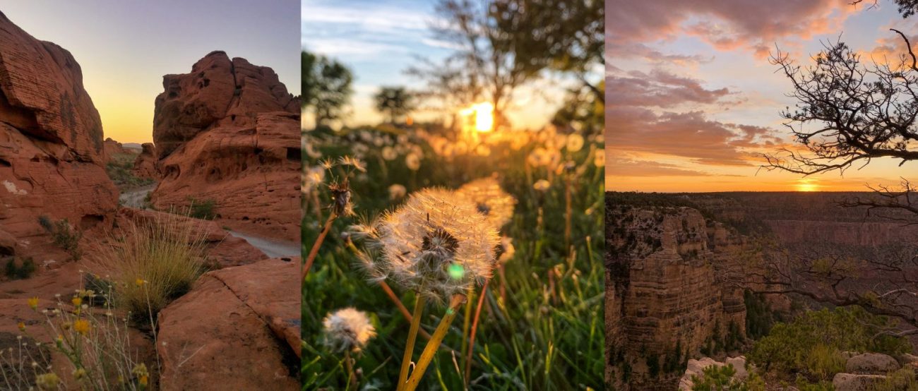 Professional Photography Tips